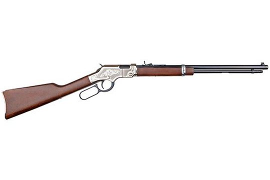 Henry Repeating Arms Henry Lever Golden Boy .22 LR   Lever Action Rifles HNRYR-8PJBMVCP