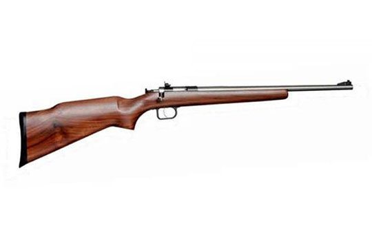 Keystone Sporting Arms Crickett Adult     Single Shot Rifles CRCKT-6ONXHBRN 611613025009