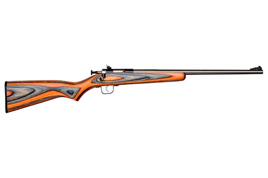 Keystone Sporting Arms Crickett  .22 LR   Single Shot Rifles CRCKT-MTZB4J2D 611613022329
