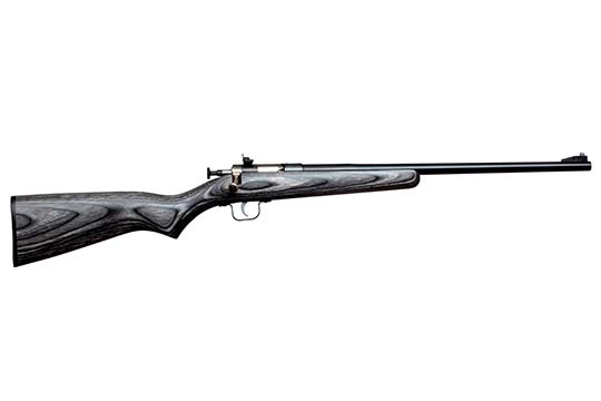 Keystone Sporting Arms Crickett Synthetic .22 LR   Single Shot Rifles CRCKT-H4WZZPAZ 611613023074