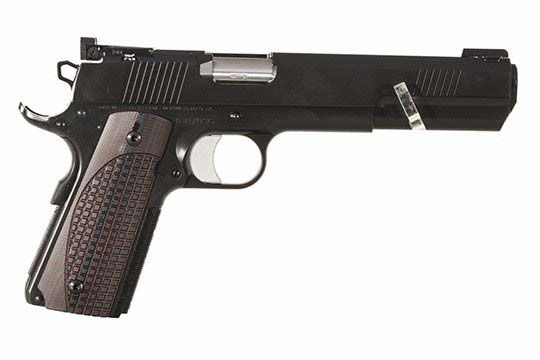 Dan Wesson Bruin  10mm  Semi Auto Pistol UPC 806703018805