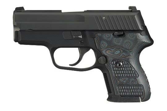 Sig Sauer P224 Extreme 9mm Luger Nitron Frame