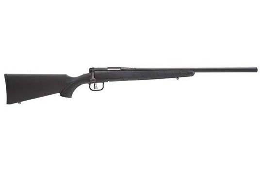 Savage 17 B.Mag .17 WSM  Bolt Action Rifle UPC 11356969750