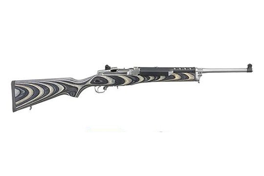 Ruger Mini-14 Ranch .223 Rem. Stainless Steel  UPC 736676058907