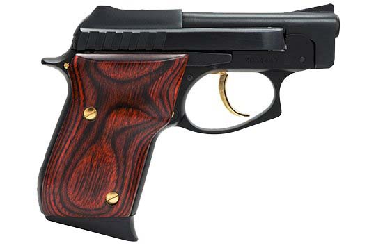 Taurus 25  .25 ACP (6.5mm)  Semi Auto Pistol UPC 725327100324
