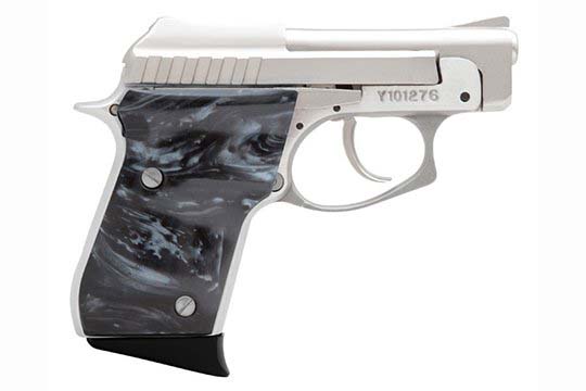 Taurus PT-22  .22 LR  Semi Auto Pistol UPC 725327602385