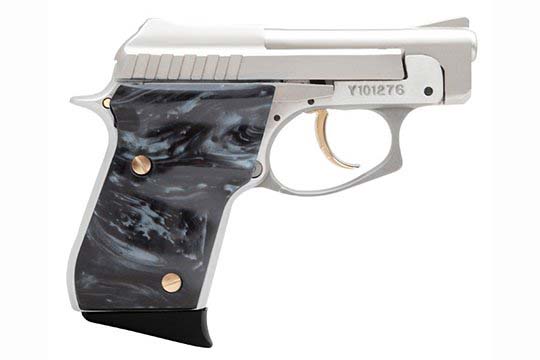 Taurus PT-22  .22 LR  Semi Auto Pistol UPC 725327602408