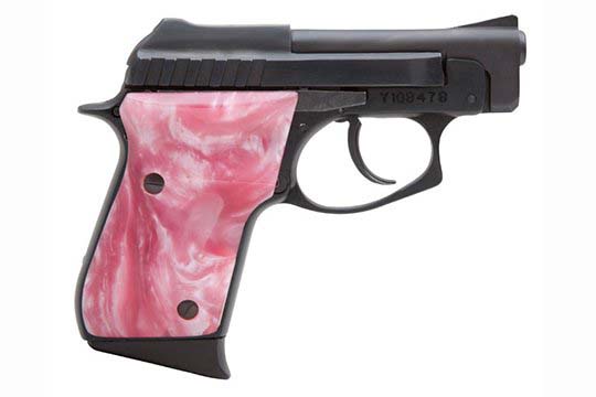 Taurus PT-25  .25 ACP (6.5mm)  Semi Auto Pistol UPC 725327601883