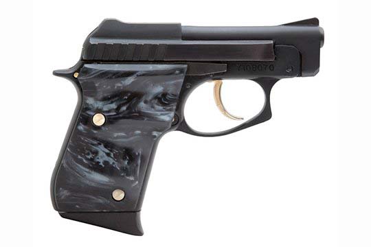Taurus PT-25  .25 ACP (6.5mm)  Semi Auto Pistol UPC 725327602439