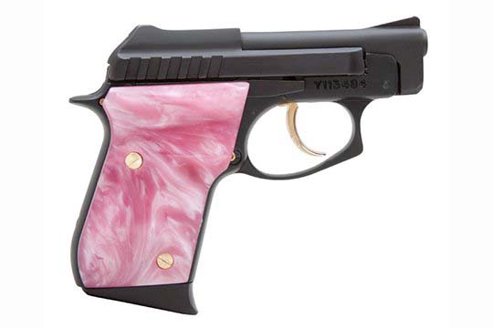 Taurus PT-25  .25 ACP (6.5mm)  Semi Auto Pistol UPC 725327601906