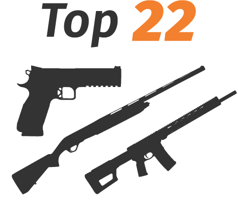 Top 22 Guns icon